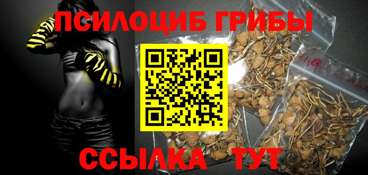 Псилоцибиновые грибы Magic Shrooms Белебей