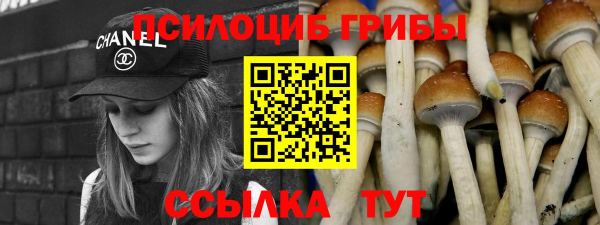 Белебей  Галлюциногенные грибы GOLDEN TEACHER  Галлюциногенные грибы Psilocybe  Вход с VPN 